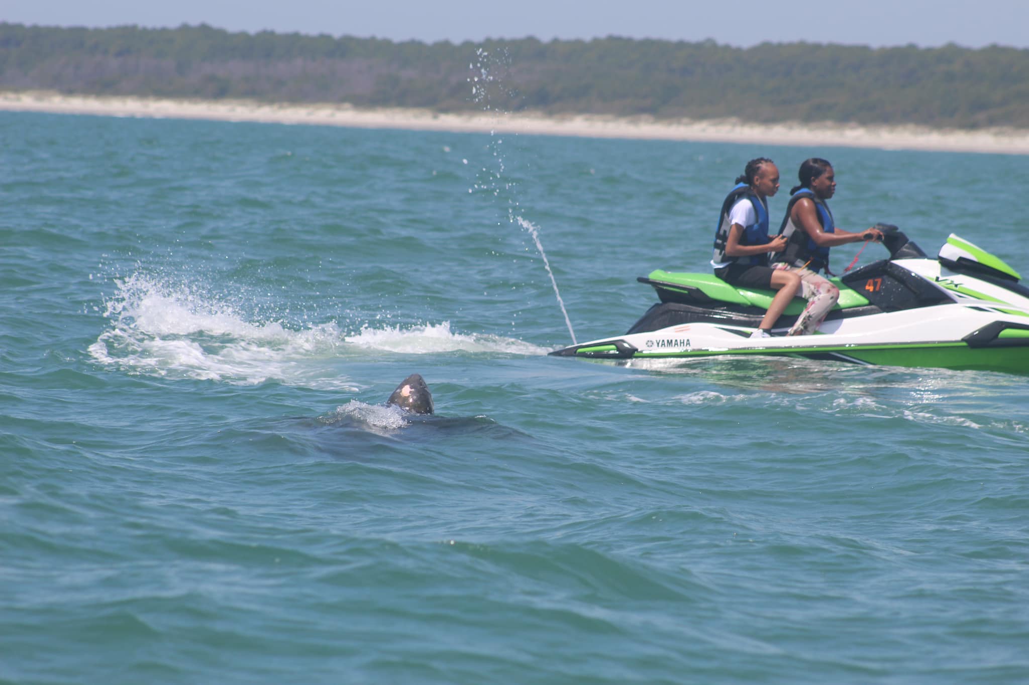 East Coast Jet Ski Adventures