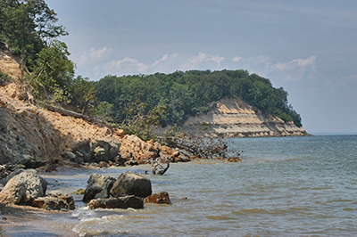calvert cliffs state park
