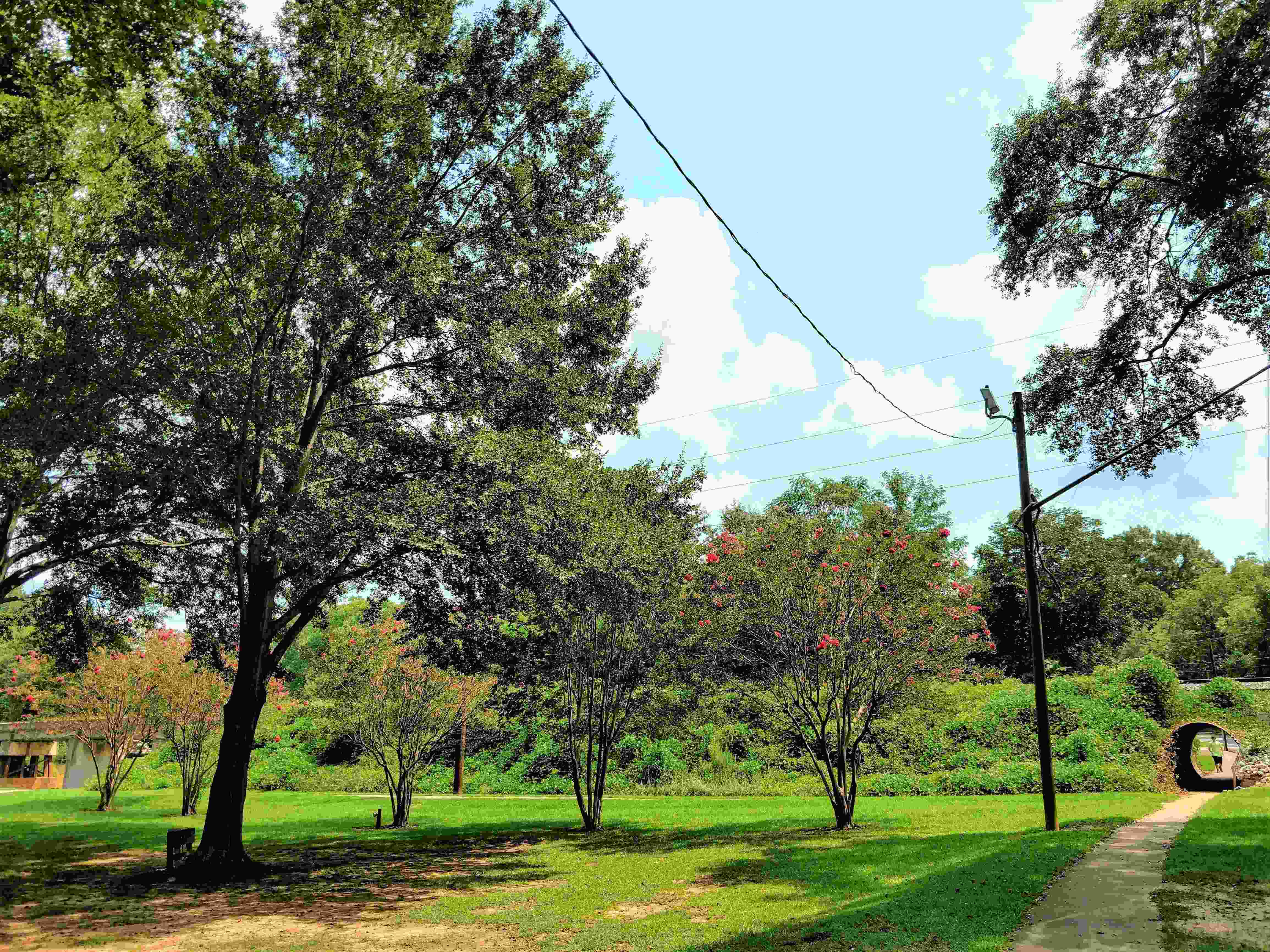 Mineral Springs Park and Walking Trail2 (2)