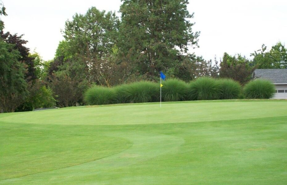 King City Golf Course3