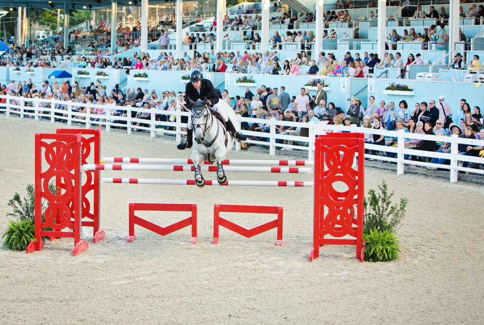Devon Horse Show and Country Fair 4