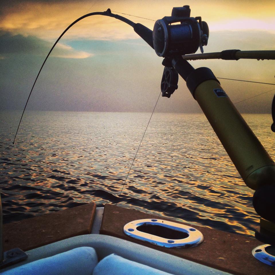Reel Talk Sportfishing Charters 6