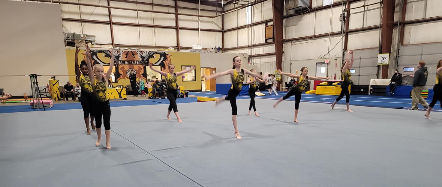 Tiger Academy of Gymnastics 2