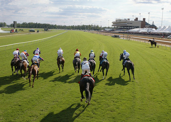 Colonial horses