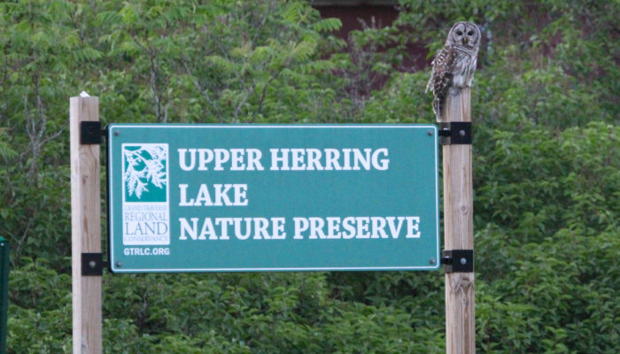 Upper Herring Lake Nature Preserve 2