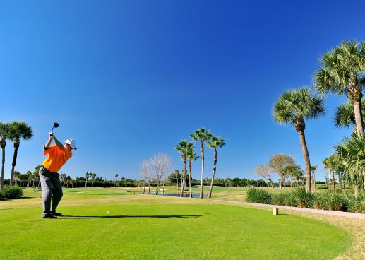 Tarpon Springs Golf Course 3