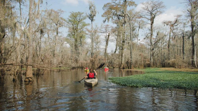 black river park 3
