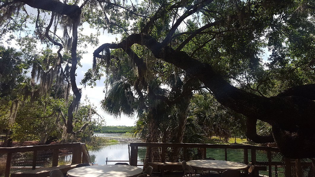 Gemini Springs Park7