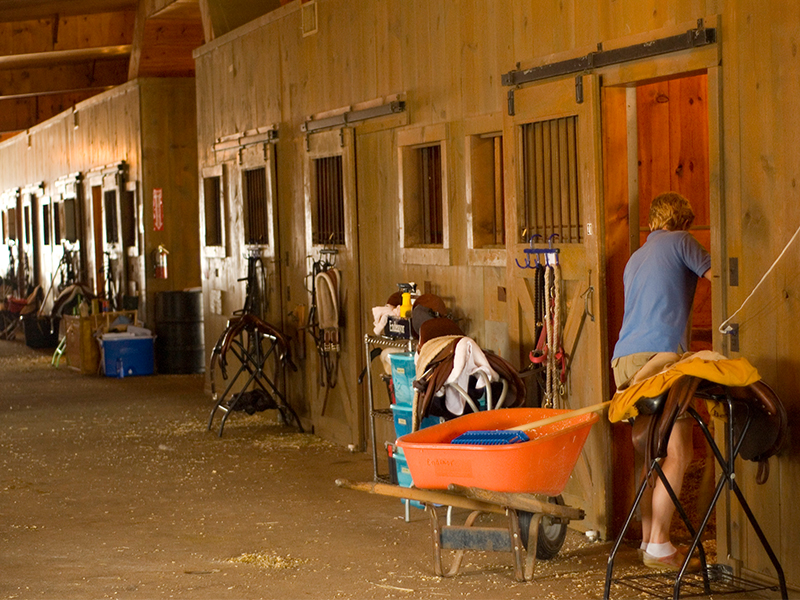 Wicomico-Equestrian-800x600-4