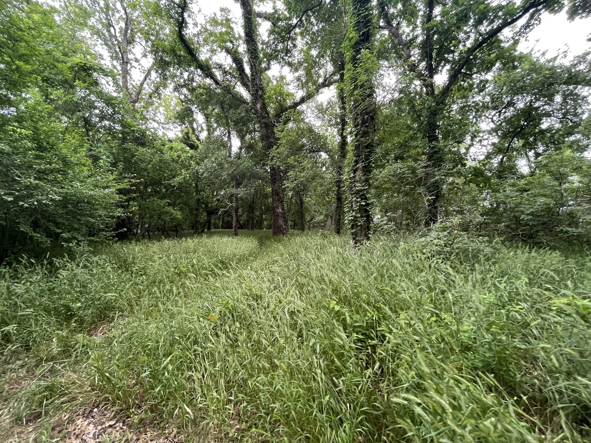 Riverside Park3