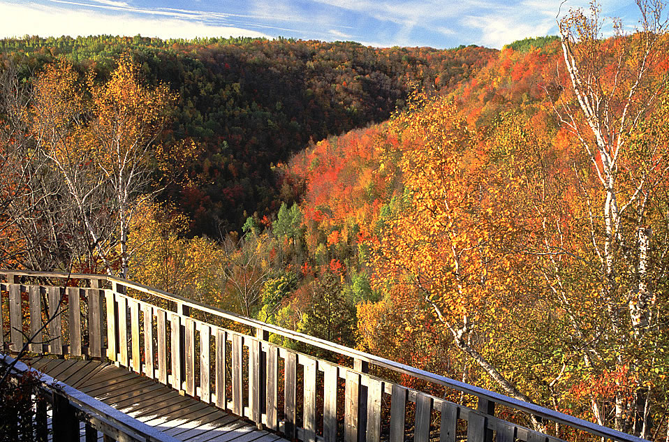 Devils Glen Park3