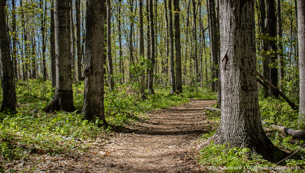 Old Mission Peninsula Park2