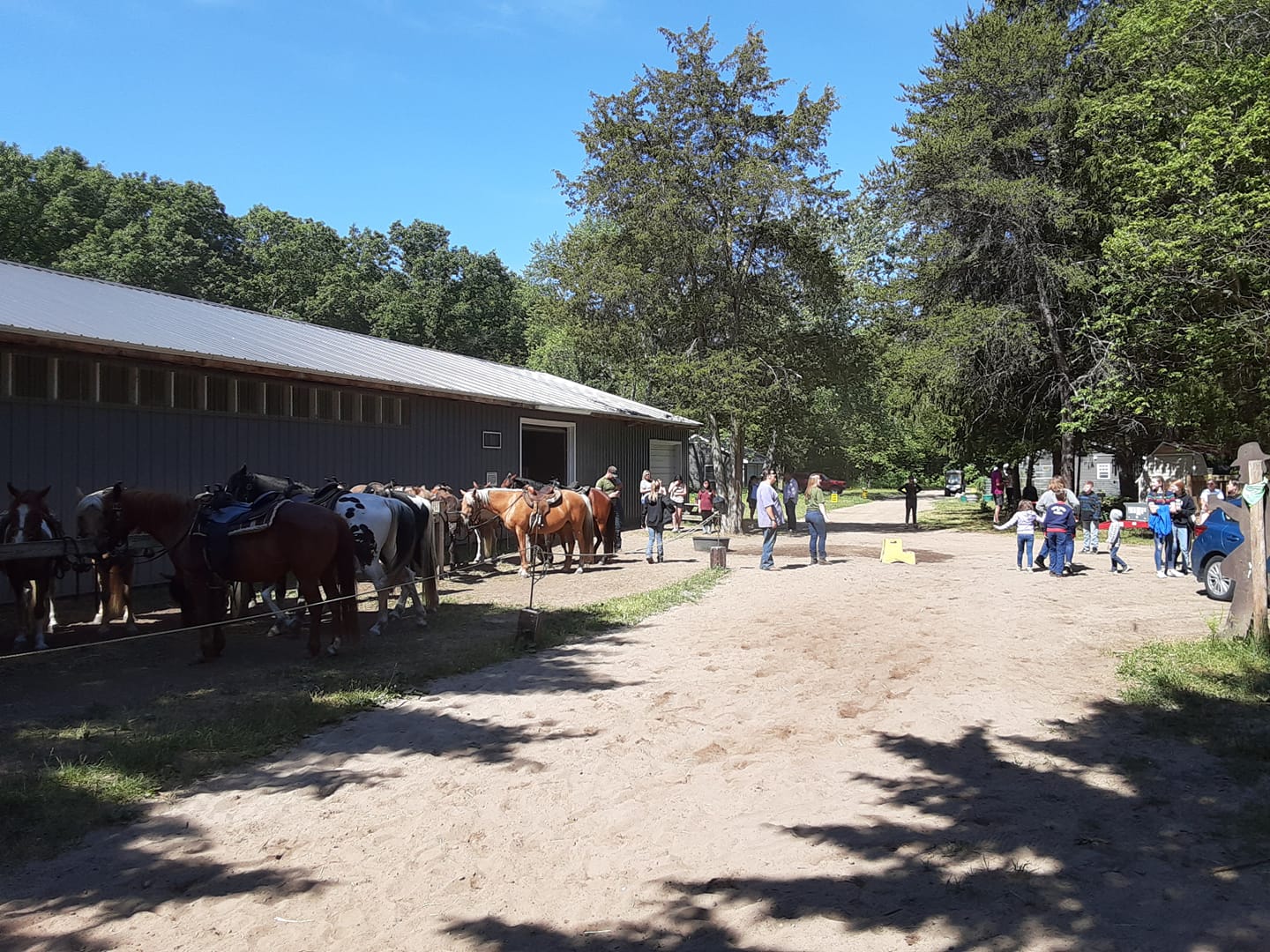 Wild West Ranch LLC5