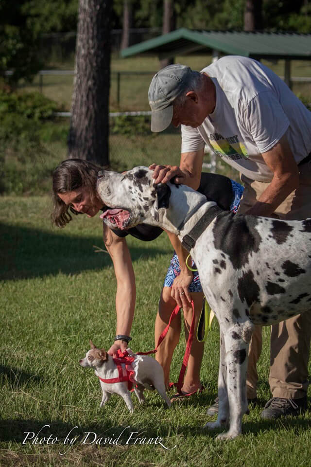 Aiken Dog Park4