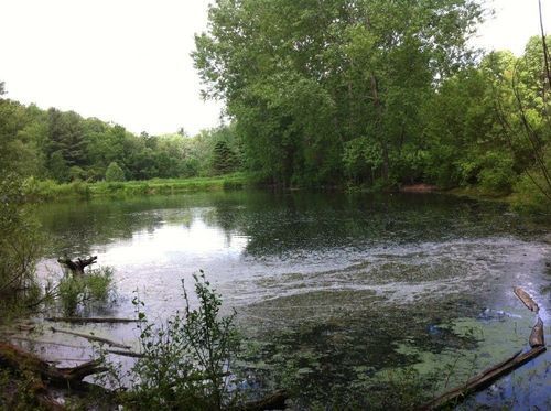Baltimore Woods Nature Center 5