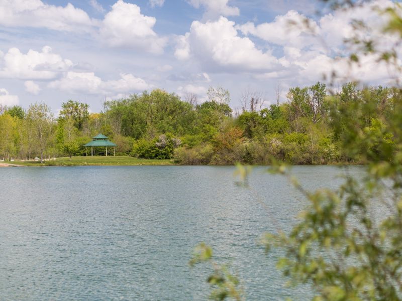 Hawthorn Pond Natural Area9
