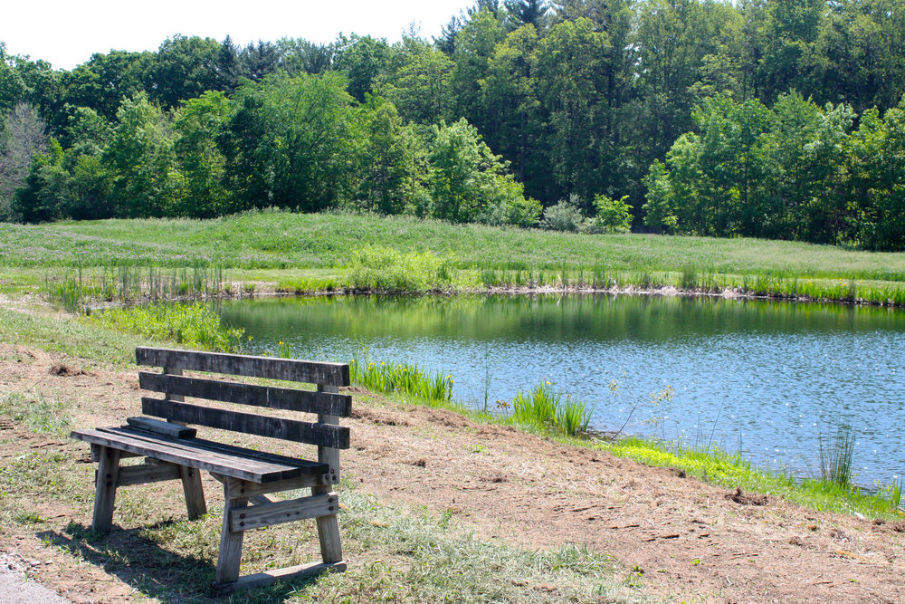Indian Hollow Reservation4