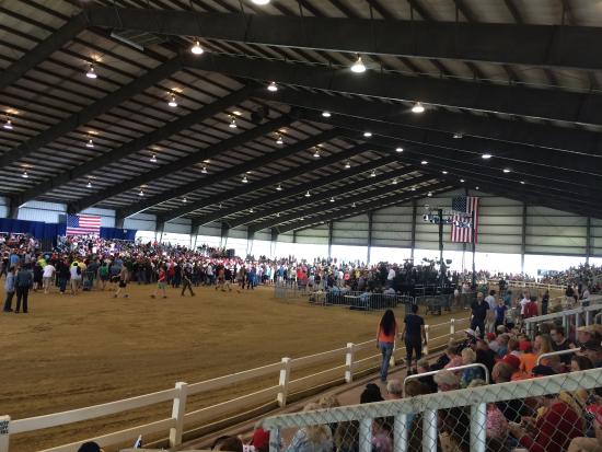 Quillen Arena 2