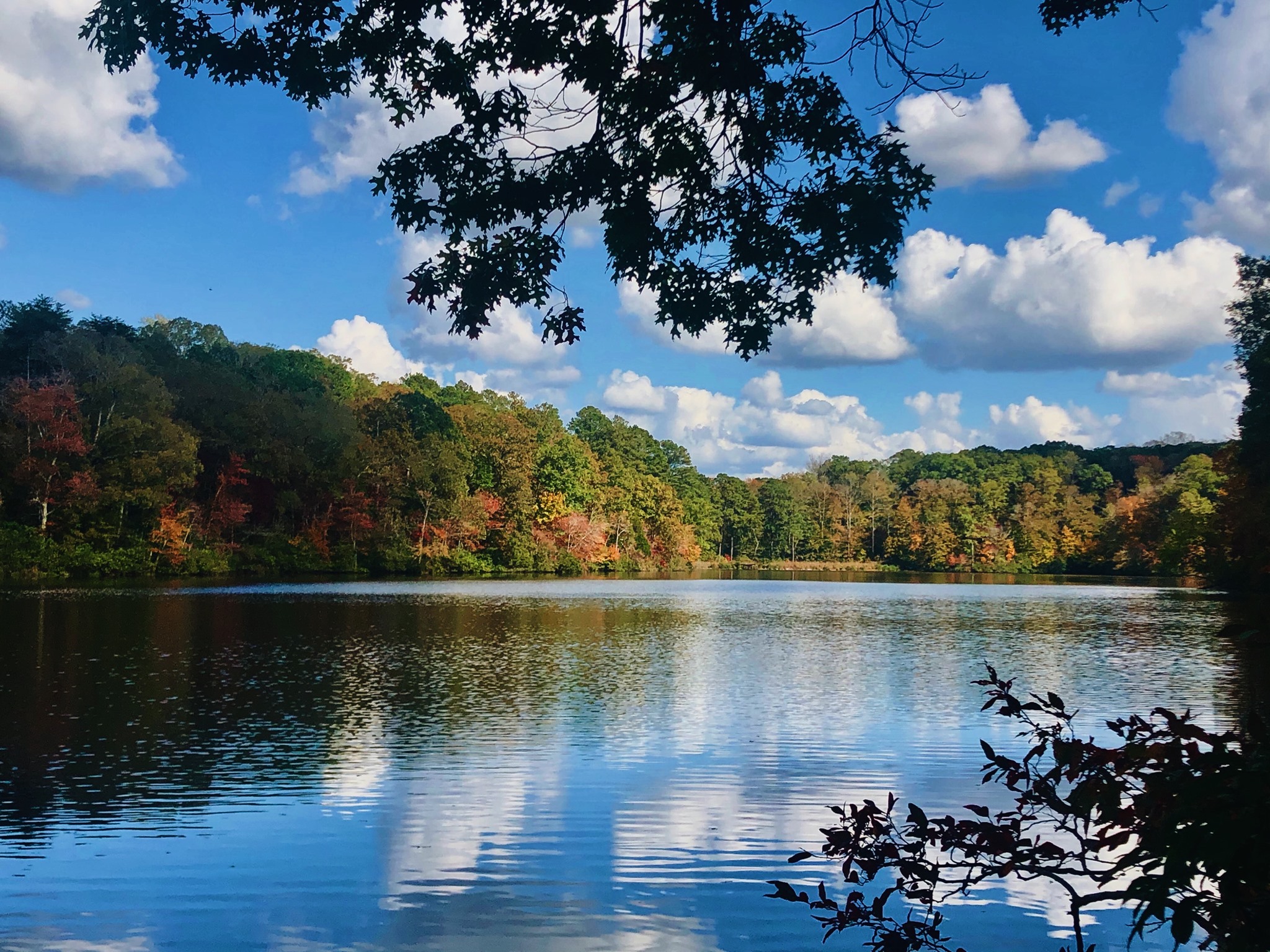 Trace State Park 5