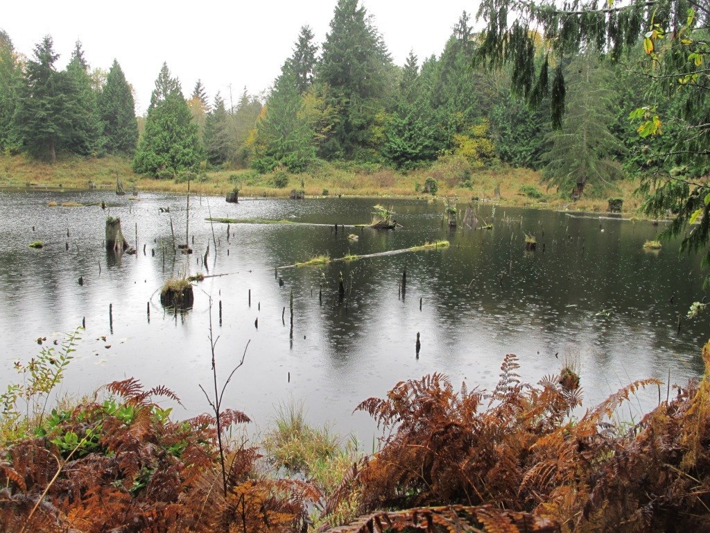 Lord Hill Regional Park13