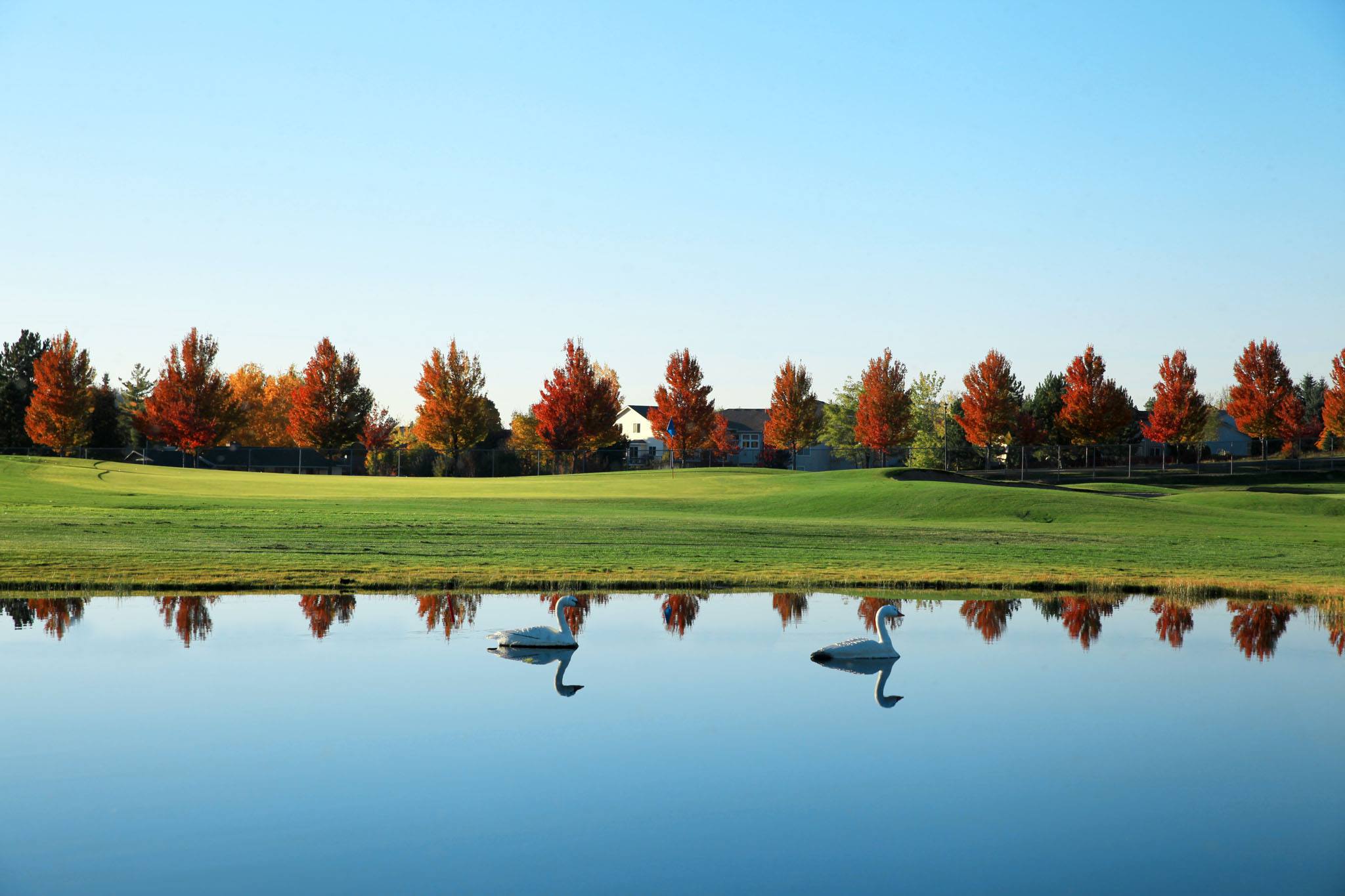MeadowWood Golf Course3