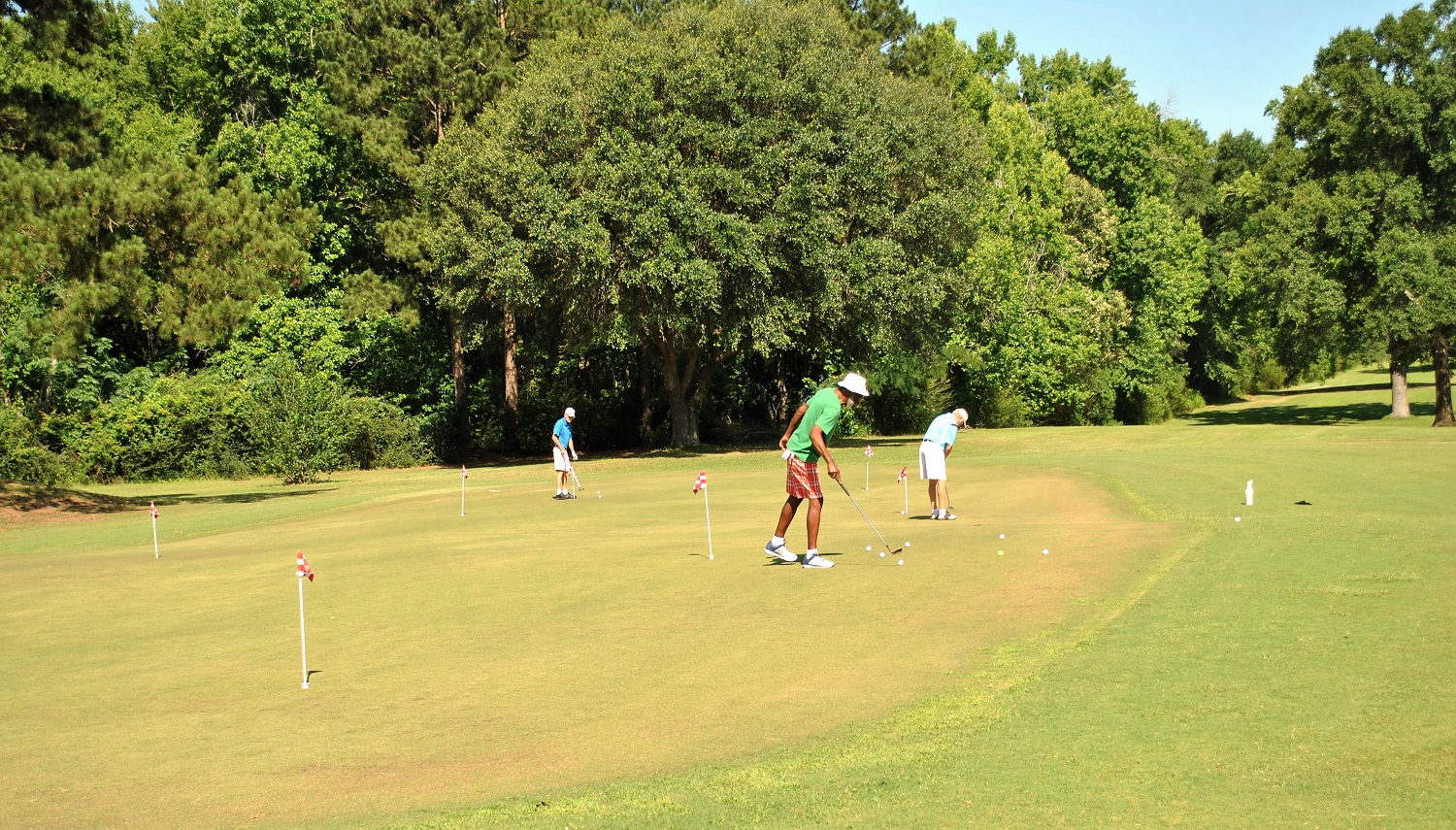 Querbes Park Golf Course8