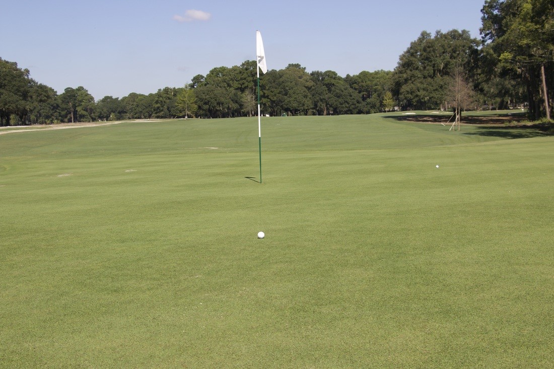 Bacon Park Golf Course 5