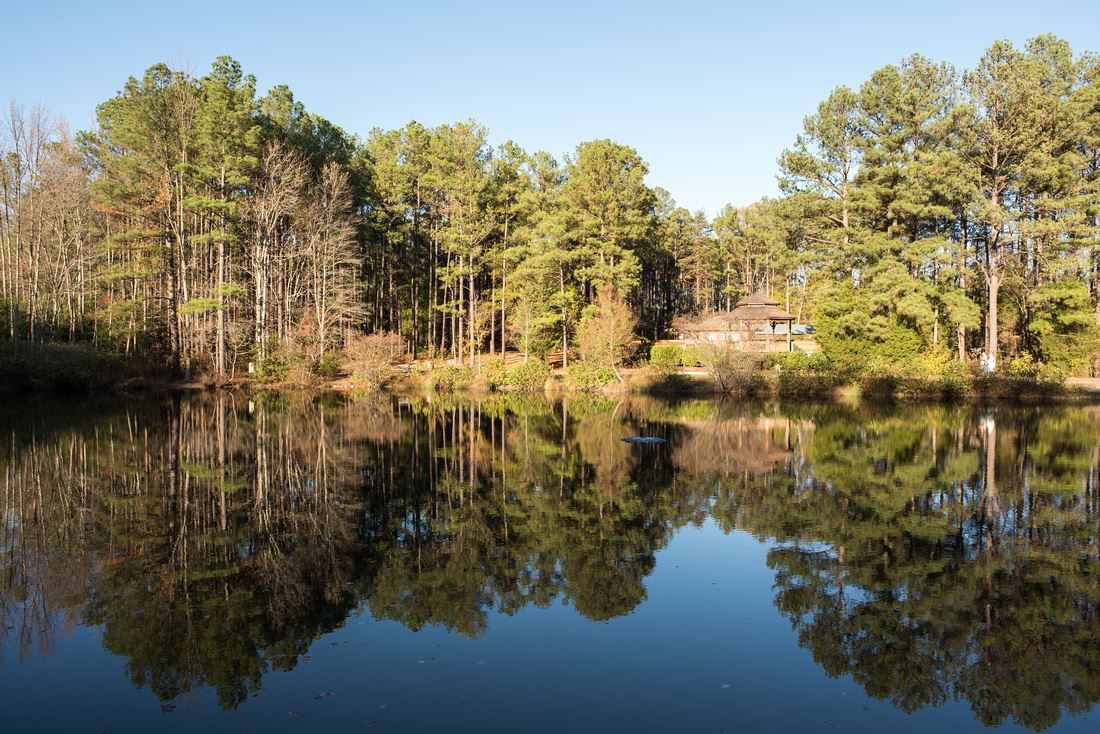 Deep Run Park & Recreation Center4