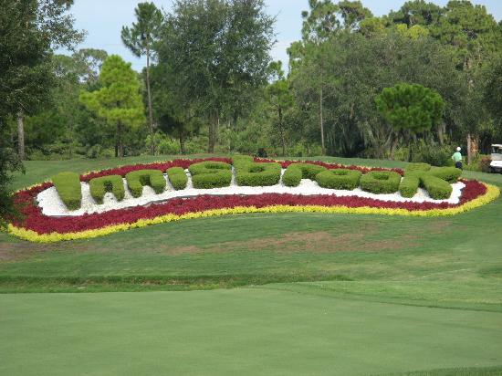 innisbrook resort 7