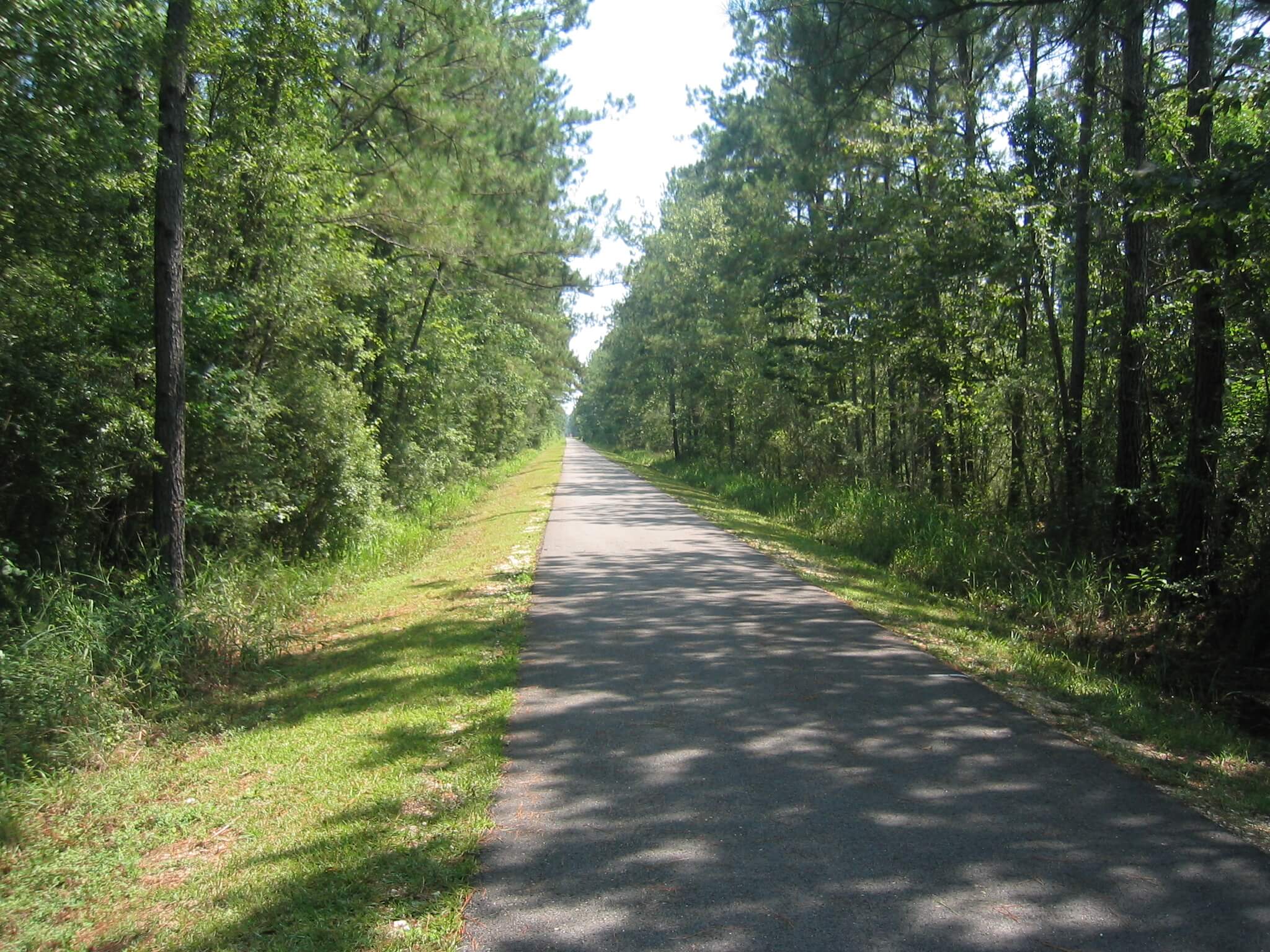 Tammany Trace4
