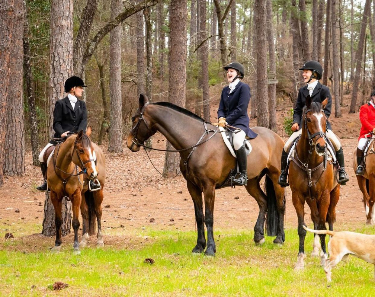 Aiken Hounds