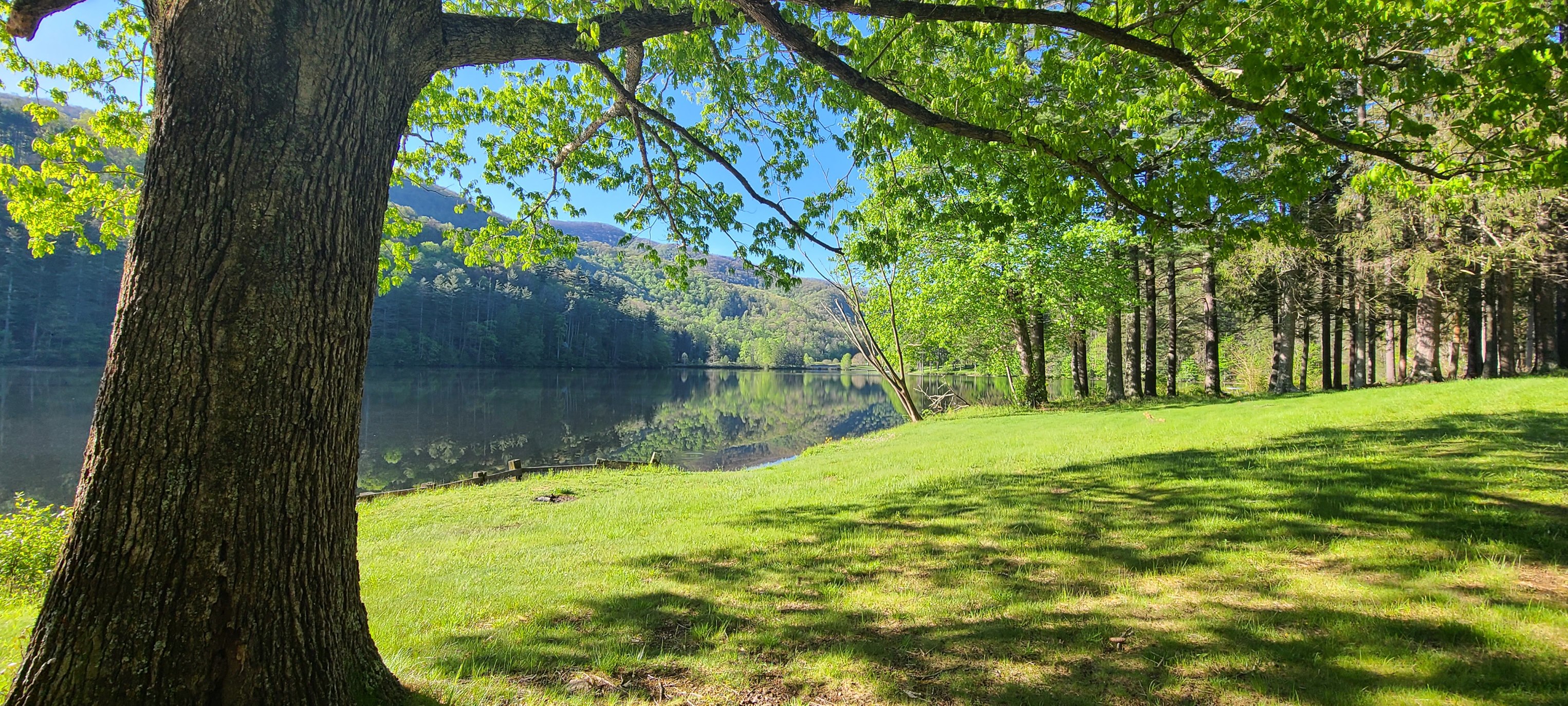 Lake Logan3