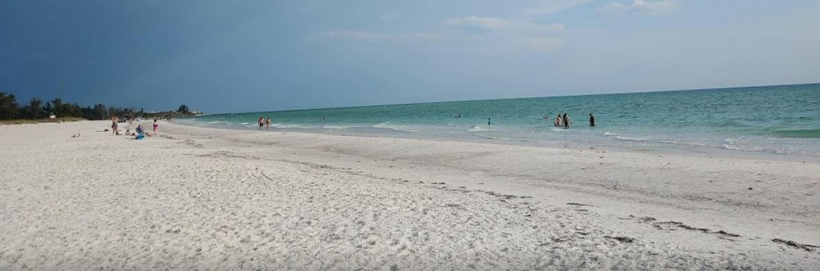 AnyConv.com__Coquina 1