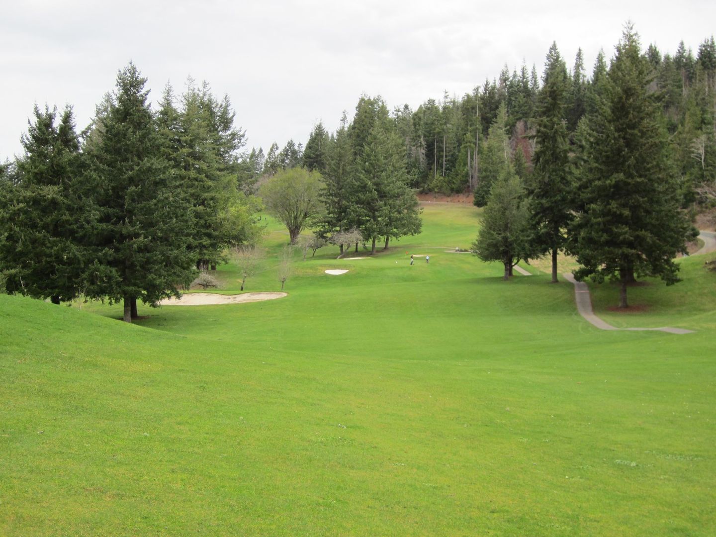 coos golf club