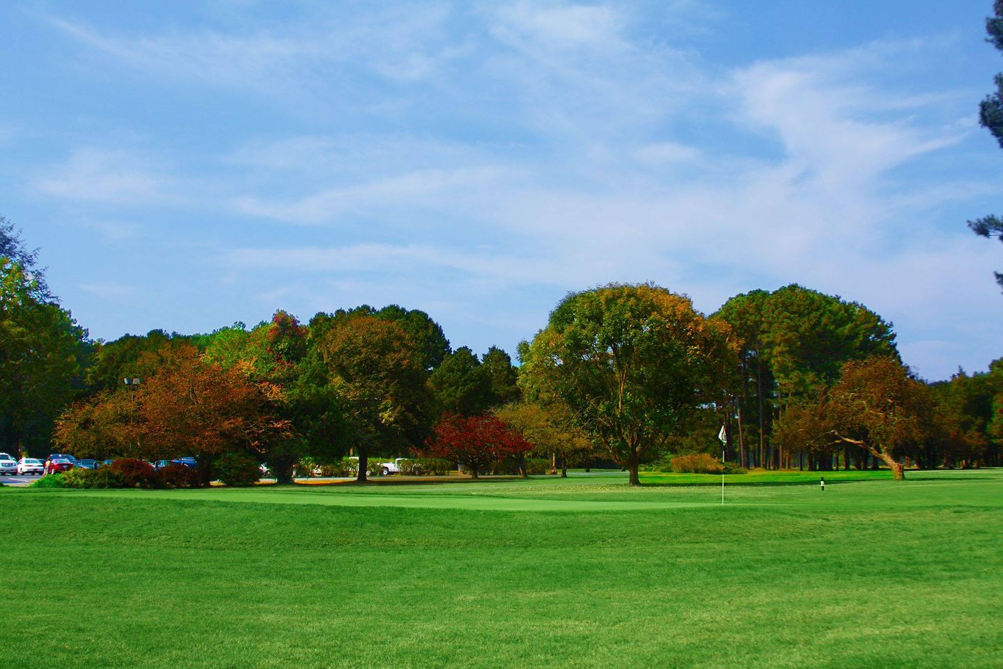 green cc md