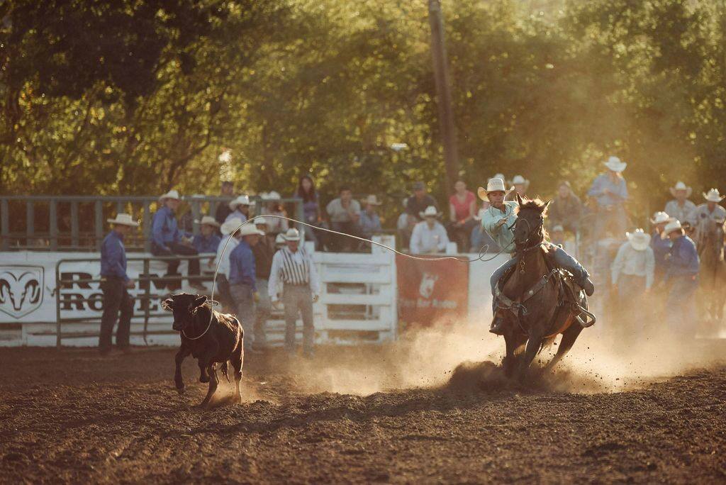 Benton County Event Center and Fairgrounds 4