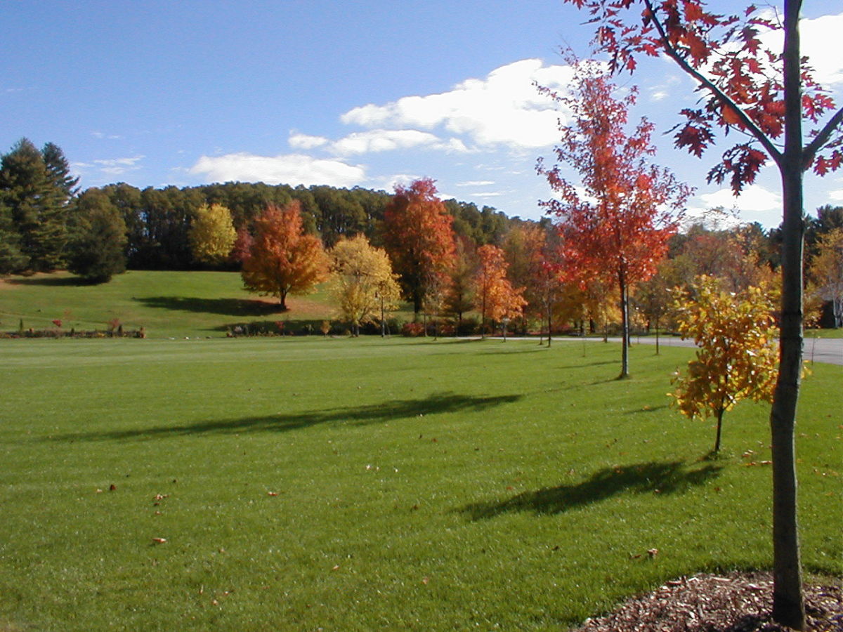 tawasentha park 2