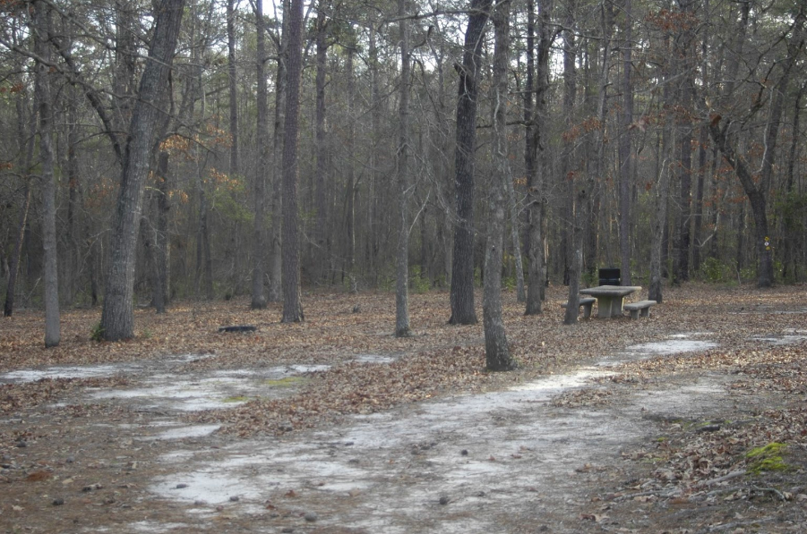 trail