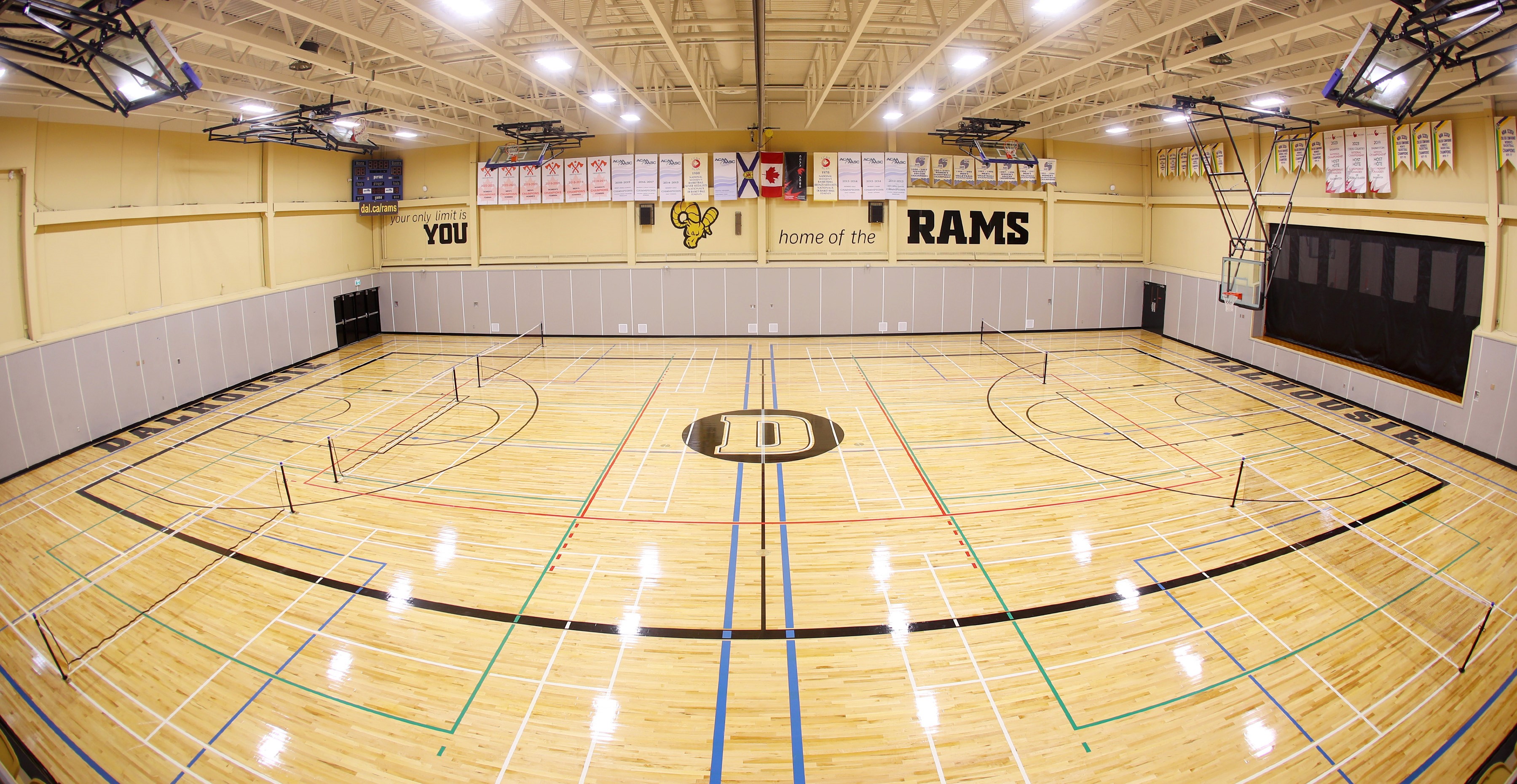 dalhousie university basketball court.jpg