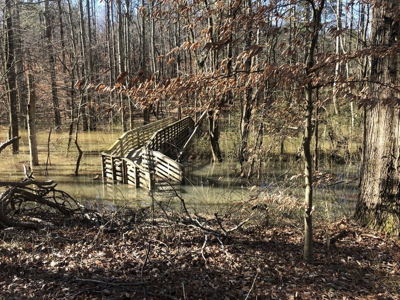 Charleston Park4