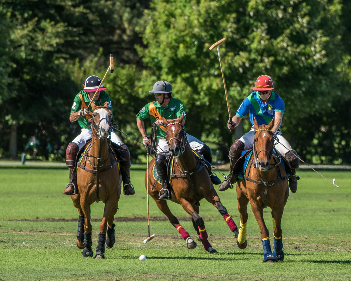 Polo 1