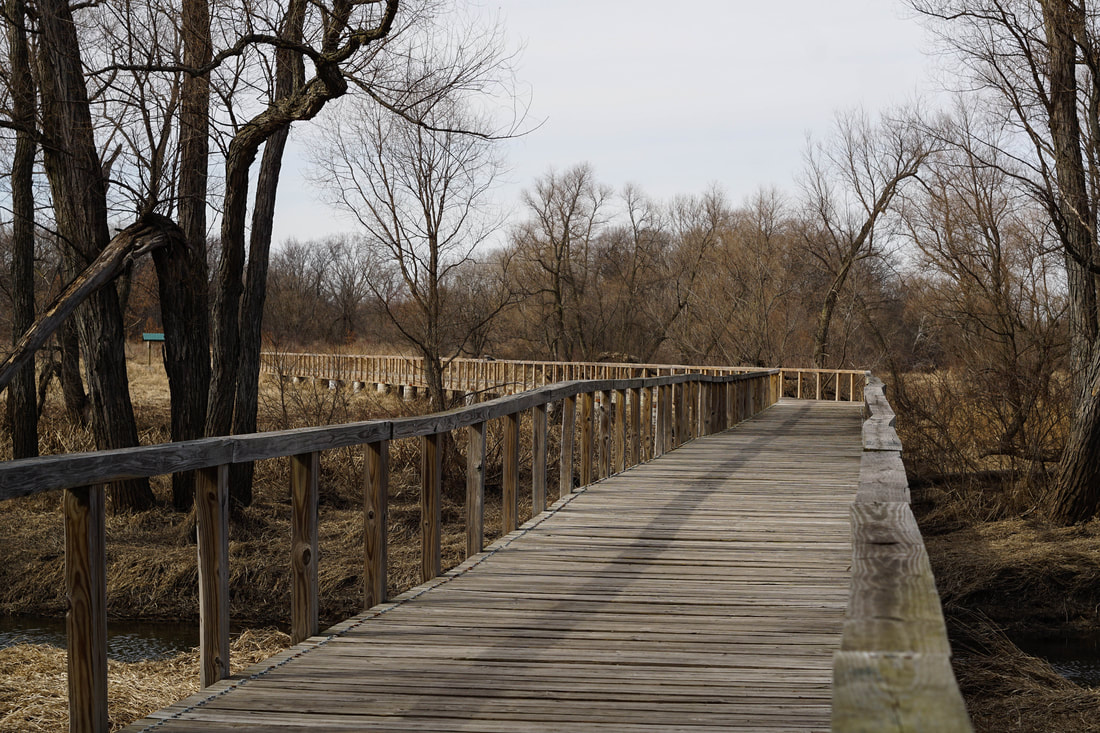 Prairie Springs Park 4