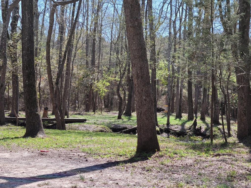 Lindsey Park7
