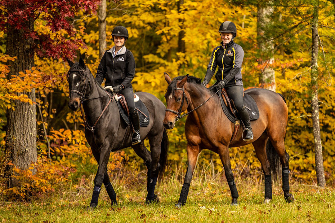 JWU Equine Studies