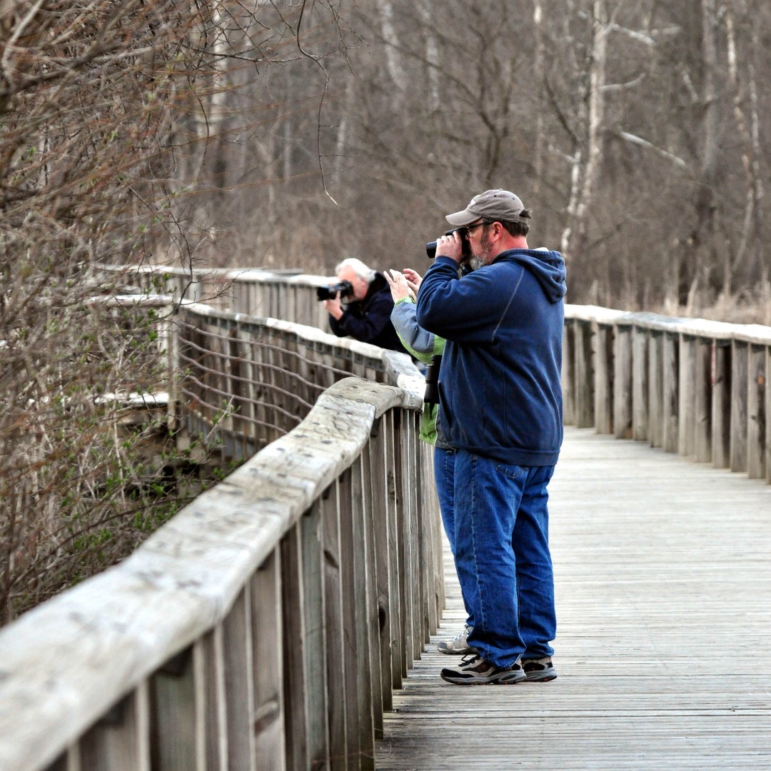 cvnp.jpeg