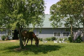 Oak Hill Farm & Stables view