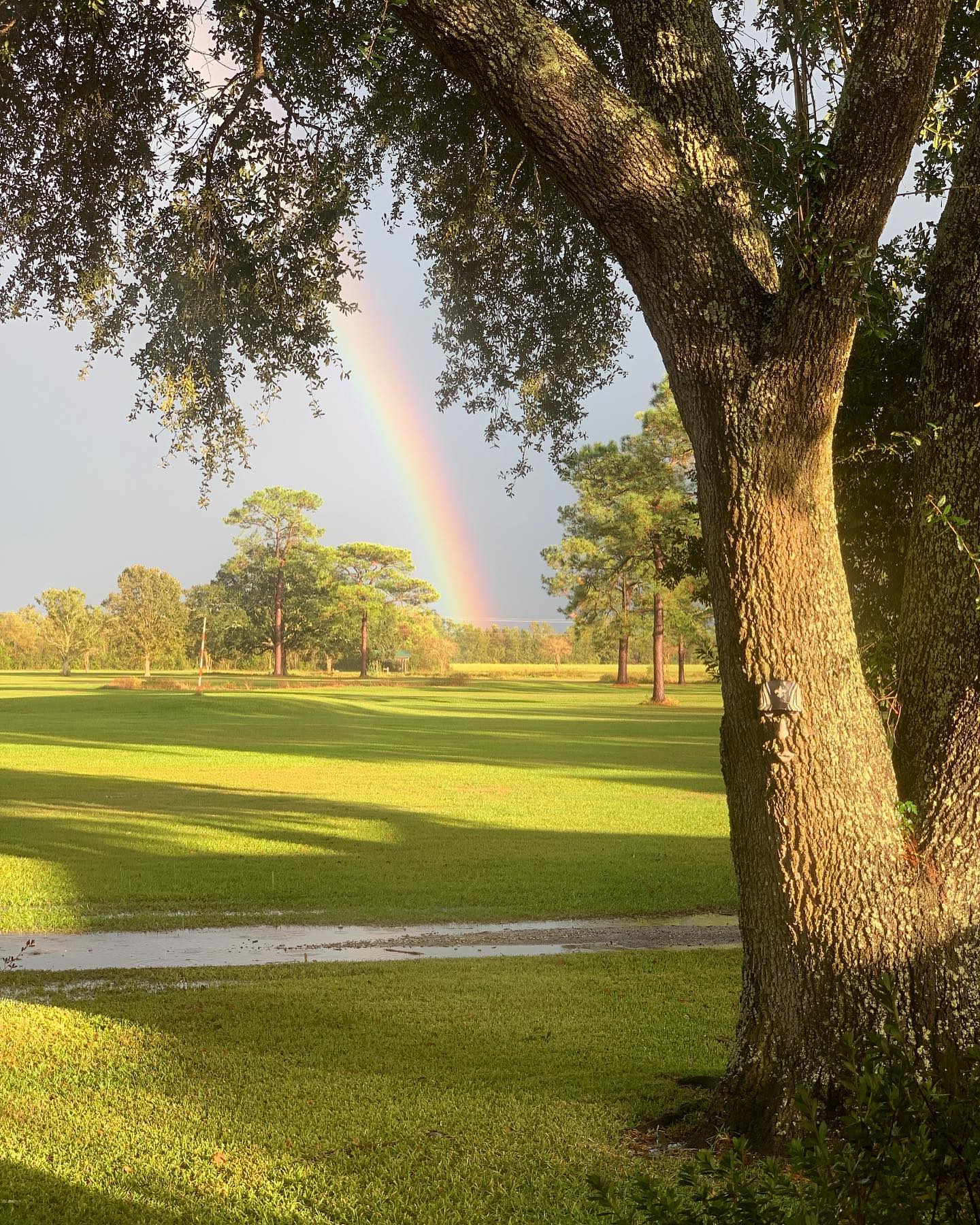 golf course.jpg
