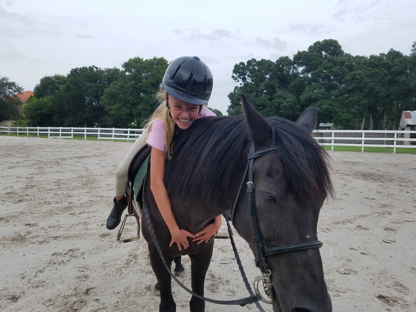 PPARK Horse