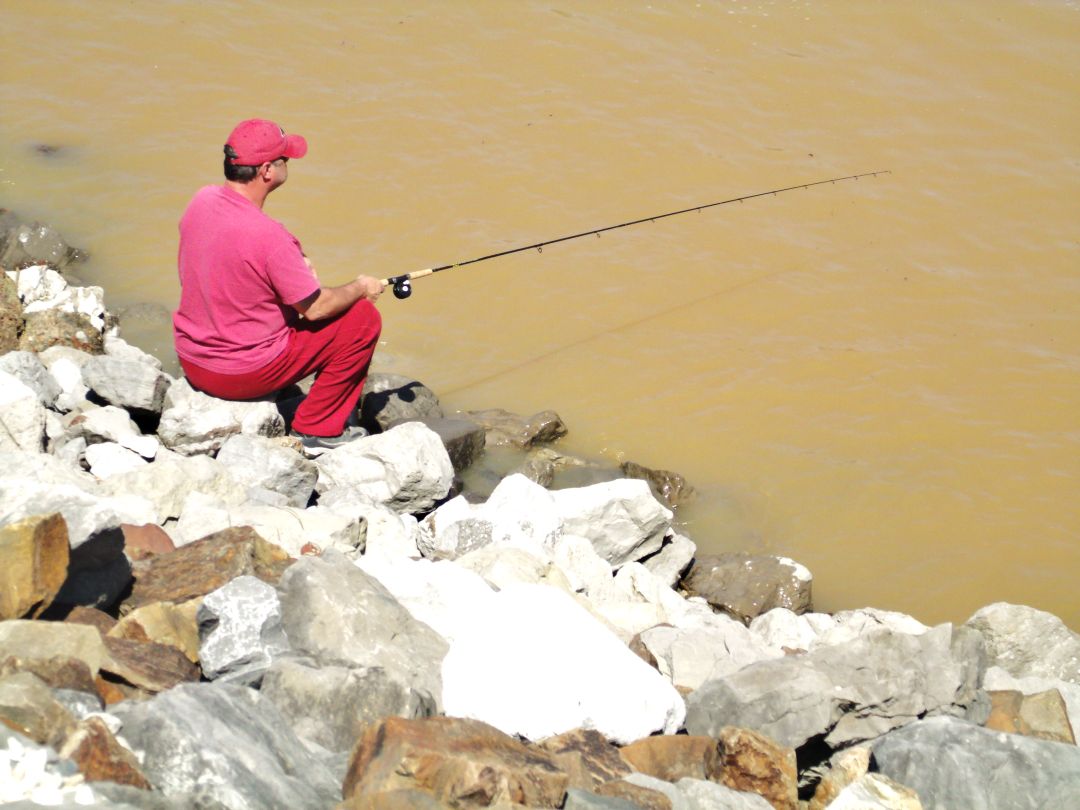 Arkabutla Lake 2
