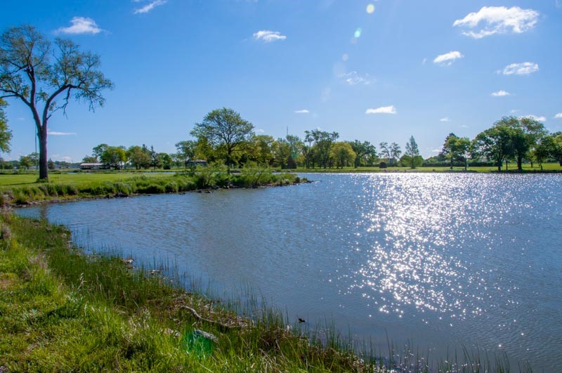 Oak Lake Park 4